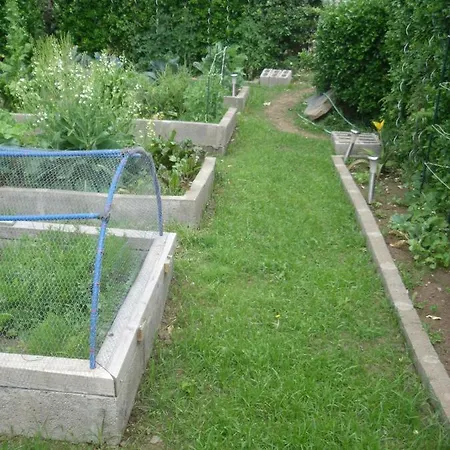 Casa Bianca Lajes das Flores